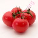 tomato (Oops! image not found)